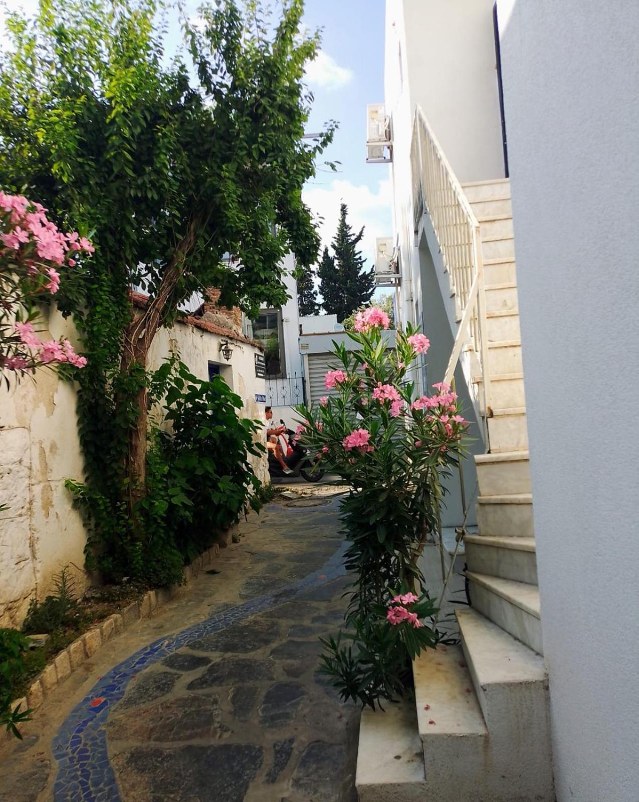 Kardelen APART OTEL Bodrum Dış mekan fotoğraf